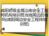 咸阳初级金属冶炼安全工程师机构培训班当地周边的有吗(咸阳周边安全工程师培训班)