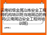 云南初级金属冶炼安全工程师机构培训班当地周边的有吗(云南周边安全工程师培训班)