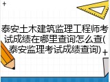 泰安土木建筑监理工程师考试成绩在哪里查询怎么查(泰安监理考试成绩查询)