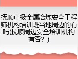 抚顺中级金属冶炼安全工程师机构培训班当地周边的有吗(抚顺周边安全培训机构有否？)