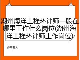 湖州海洋工程环评师一般在哪里工作什么岗位(湖州海洋工程环评师工作岗位)