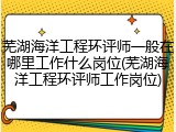 芜湖海洋工程环评师一般在哪里工作什么岗位(芜湖海洋工程环评师工作岗位)