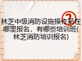 林芝中级消防设施操作员在哪里报名，有哪些培训班(林芝消防培训报名)