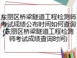 东丽区桥梁隧道工程检测师考试成绩公布时间如何查询(东丽区桥梁隧道工程检测师考试成绩查询时间)