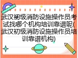 武汉初级消防设施操作员考试找哪个机构培训靠谱呢(武汉初级消防设施操作员培训靠谱机构)