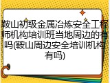 鞍山初级金属冶炼安全工程师机构培训班当地周边的有吗(鞍山周边安全培训机构有吗)