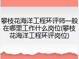 攀枝花海洋工程环评师一般在哪里工作什么岗位(攀枝花海洋工程环评岗位)