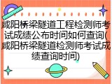 咸阳桥梁隧道工程检测师考试成绩公布时间如何查询(咸阳桥梁隧道检测师考试成绩查询时间)