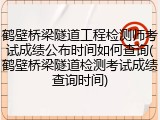鹤壁桥梁隧道工程检测师考试成绩公布时间如何查询(鹤壁桥梁隧道检测考试成绩查询时间)