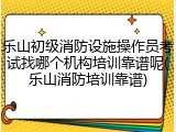 乐山初级消防设施操作员考试找哪个机构培训靠谱呢(乐山消防培训靠谱)