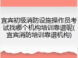 宜宾初级消防设施操作员考试找哪个机构培训靠谱呢(宜宾消防培训靠谱机构)