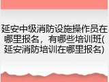 延安中级消防设施操作员在哪里报名,有哪些培训班(延安消防培训在哪里报名)