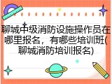 聊城中级消防设施操作员在哪里报名，有哪些培训班(聊城消防培训报名)