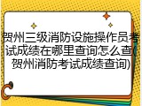 贺州三级消防设施操作员考试成绩在哪里查询怎么查(贺州消防考试成绩查询)