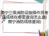 南宁三级消防设施操作员考试成绩在哪里查询怎么查(南宁消防成绩查询)
