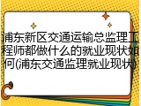 浦东新区交通运输总监理工程师都做什么的就业现状如何(浦东交通监理就业现状)