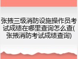 张掖三级消防设施操作员考试成绩在哪里查询怎么查(张掖消防考试成绩查询)