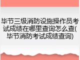 毕节三级消防设施操作员考试成绩在哪里查询怎么查(毕节消防考试成绩查询)