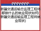 新疆交通运输总监理工程师都做什么的就业现状如何(新疆交通运输监理工程师就业现状)