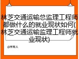 林芝交通运输总监理工程师都做什么的就业现状如何(林芝交通运输监理工程师就业现状)
