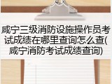 咸宁三级消防设施操作员考试成绩在哪里查询怎么查(咸宁消防考试成绩查询)