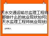 天水交通运输总监理工程师都做什么的就业现状如何(天水监理工程师就业现状)