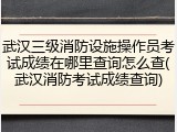 武汉三级消防设施操作员考试成绩在哪里查询怎么查(武汉消防考试成绩查询)