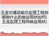 玉溪交通运输总监理工程师都做什么的就业现状如何(玉溪监理工程师就业现状)
