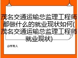 茂名交通运输总监理工程师都做什么的就业现状如何(茂名交通运输总监理工程师就业现状)