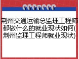 荆州交通运输总监理工程师都做什么的就业现状如何(荆州监理工程师就业现状)