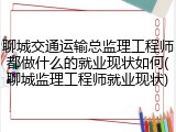 聊城交通运输总监理工程师都做什么的就业现状如何(聊城监理工程师就业现状)