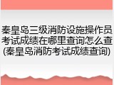秦皇岛三级消防设施操作员考试成绩在哪里查询怎么查(秦皇岛消防考试成绩查询)