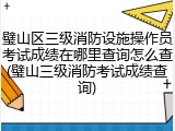 璧山区三级消防设施操作员考试成绩在哪里查询怎么查(璧山三级消防考试成绩查询)