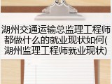 湖州交通运输总监理工程师都做什么的就业现状如何(湖州监理工程师就业现状)