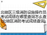 北碚区三级消防设施操作员考试成绩在哪里查询怎么查(北碚区消防考试成绩查询)