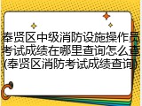 奉贤区中级消防设施操作员考试成绩在哪里查询怎么查(奉贤区消防考试成绩查询)
