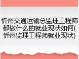 忻州交通运输总监理工程师都做什么的就业现状如何(忻州监理工程师就业现状)