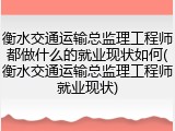 衡水交通运输总监理工程师都做什么的就业现状如何(衡水交通运输总监理工程师就业现状)