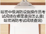 哈密中级消防设施操作员考试成绩在哪里查询怎么查(哈密消防考试成绩查询)