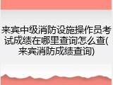 来宾中级消防设施操作员考试成绩在哪里查询怎么查(来宾消防成绩查询)