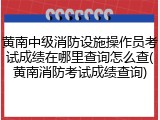 黄南中级消防设施操作员考试成绩在哪里查询怎么查(黄南消防考试成绩查询)