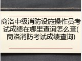 商洛中级消防设施操作员考试成绩在哪里查询怎么查(商洛消防考试成绩查询)