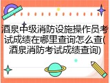 酒泉中级消防设施操作员考试成绩在哪里查询怎么查(酒泉消防考试成绩查询)