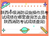 陕西中级消防设施操作员考试成绩在哪里查询怎么查(陕西消防考试成绩查询)