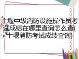 十堰中级消防设施操作员考试成绩在哪里查询怎么查(十堰消防考试成绩查询)