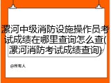 漯河中级消防设施操作员考试成绩在哪里查询怎么查(漯河消防考试成绩查询)