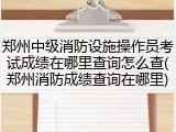 郑州中级消防设施操作员考试成绩在哪里查询怎么查(郑州消防成绩查询在哪里)