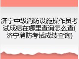 济宁中级消防设施操作员考试成绩在哪里查询怎么查(济宁消防考试成绩查询)