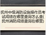抚州中级消防设施操作员考试成绩在哪里查询怎么查(抚州消防成绩查询在哪里)