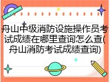 舟山中级消防设施操作员考试成绩在哪里查询怎么查(舟山消防考试成绩查询)